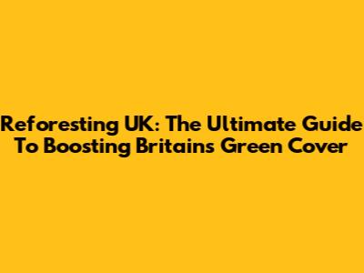 Reforesting UK: The Ultimate Guide To Boosting Britain's Green Cover
