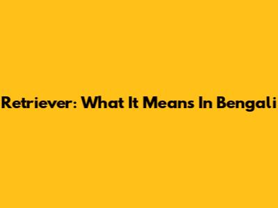 Retriever: What It Means In Bengali
