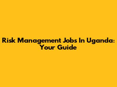 Risk Management Jobs In Uganda: Your Guide