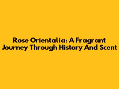 Rose Orientalia: A Fragrant Journey Through History And Scent