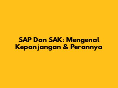SAP Dan SAK: Mengenal Kepanjangan & Perannya