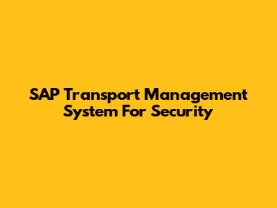 SAP Transport Management System For Security