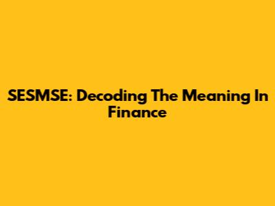 SESMSE: Decoding The Meaning In Finance