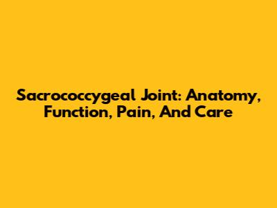 Sacrococcygeal Joint: Anatomy, Function, Pain, And Care