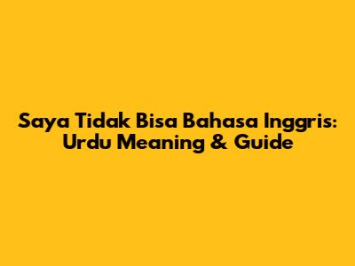 Saya Tidak Bisa Bahasa Inggris: Urdu Meaning & Guide