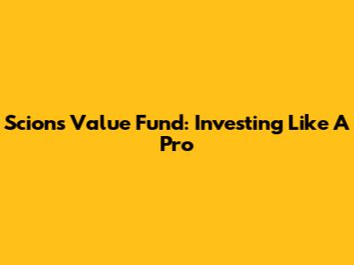 Scion's Value Fund: Investing Like A Pro
