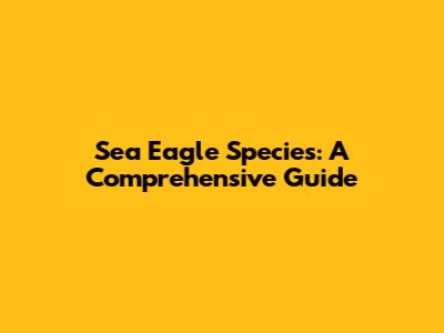Sea Eagle Species: A Comprehensive Guide