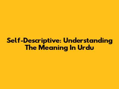 Self-Descriptive: Understanding The Meaning In Urdu