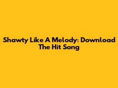 Shawty Like A Melody: Download The Hit Song