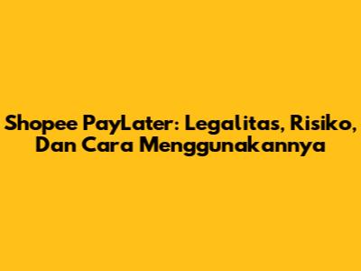 Shopee PayLater: Legalitas, Risiko, Dan Cara Menggunakannya