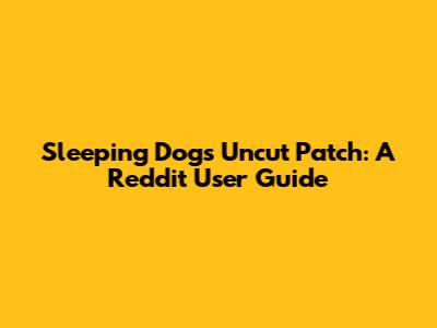 Sleeping Dogs Uncut Patch: A Reddit User Guide