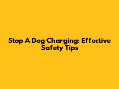 Stop A Dog Charging: Effective Safety Tips