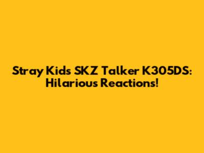 Stray Kids SKZ Talker K305DS: Hilarious Reactions!