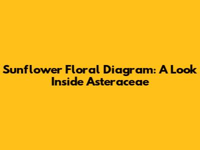 Sunflower Floral Diagram: A Look Inside Asteraceae