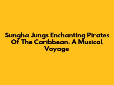 Sungha Jung's Enchanting Pirates Of The Caribbean: A Musical Voyage