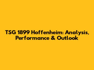 TSG 1899 Hoffenheim: Analysis, Performance & Outlook