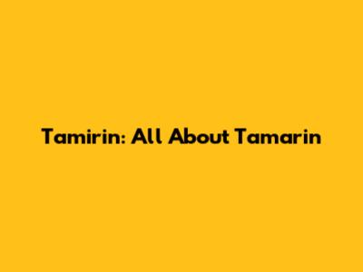 Tamirin: All About Tamarin