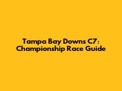 Tampa Bay Downs C7: Championship Race Guide