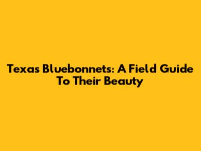 Texas Bluebonnets: A Field Guide To Their Beauty