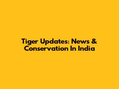 Tiger Updates: News & Conservation In India