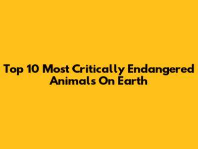 Top 10 Most Critically Endangered Animals On Earth