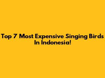 Top 7 Most Expensive Singing Birds In Indonesia!
