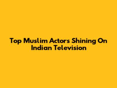 Top Muslim Actors Shining On Indian Television