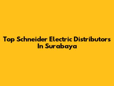 Top Schneider Electric Distributors In Surabaya