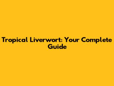 Tropical Liverwort: Your Complete Guide