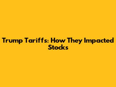 Trump Tariffs: How They Impacted Stocks