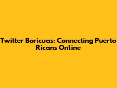 Twitter Boricuas: Connecting Puerto Ricans Online