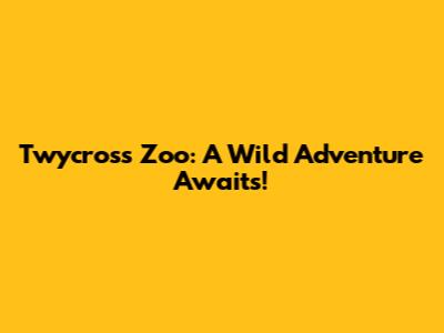 Twycross Zoo: A Wild Adventure Awaits!