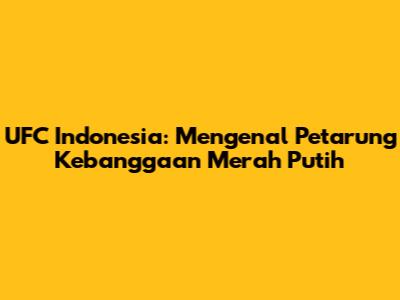 UFC Indonesia: Mengenal Petarung Kebanggaan Merah Putih