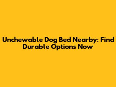 Unchewable Dog Bed Nearby: Find Durable Options Now