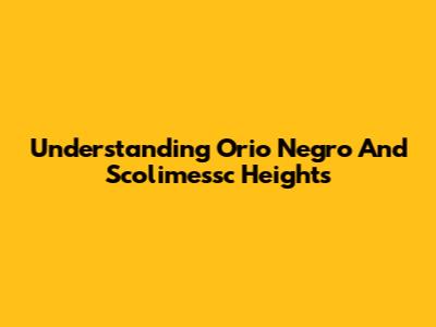 Understanding Orio Negro And Scolimessc Heights