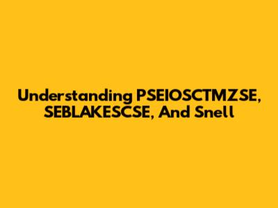 Understanding PSEIOSCTMZSE, SEBLAKESCSE, And Snell