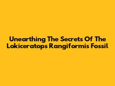 Unearthing The Secrets Of The Lokiceratops Rangiformis Fossil