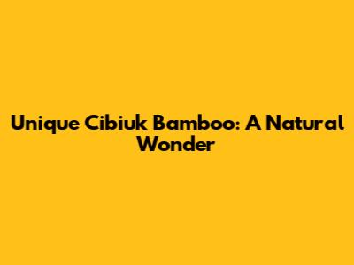 Unique Cibiuk Bamboo: A Natural Wonder