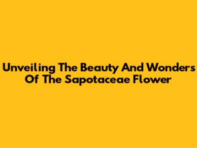 Unveiling The Beauty And Wonders Of The Sapotaceae Flower