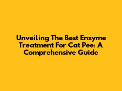 Unveiling The Best Enzyme Treatment For Cat Pee: A Comprehensive Guide