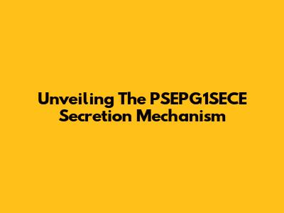 Unveiling The PSEPG1SECE Secretion Mechanism