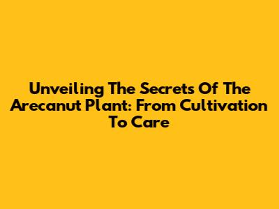 Unveiling The Secrets Of The Arecanut Plant: From Cultivation To Care