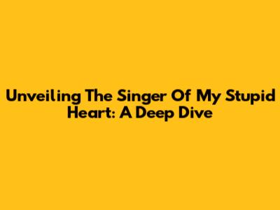 Unveiling The Singer Of "My Stupid Heart": A Deep Dive