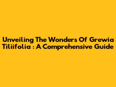 Unveiling The Wonders Of *Grewia Tiliifolia*: A Comprehensive Guide