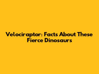 Velociraptor: Facts About These Fierce Dinosaurs