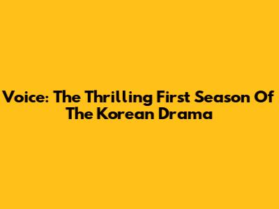 Voice: The Thrilling First Season Of The Korean Drama