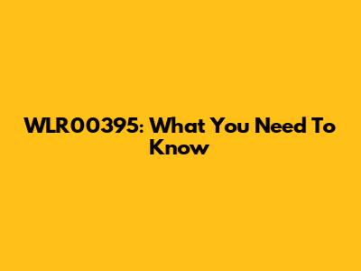 WLR00395: What You Need To Know