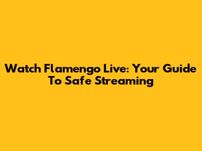 Watch Flamengo Live: Your Guide To Safe Streaming