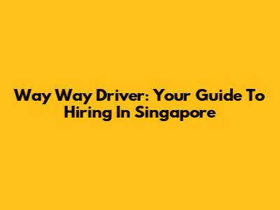 Way Way Driver: Your Guide To Hiring In Singapore