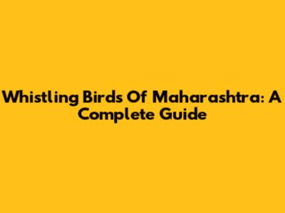Whistling Birds Of Maharashtra: A Complete Guide